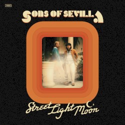 Street Light Moon
