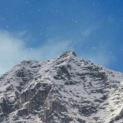 Tundra