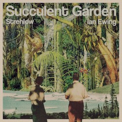 Succulent Garden