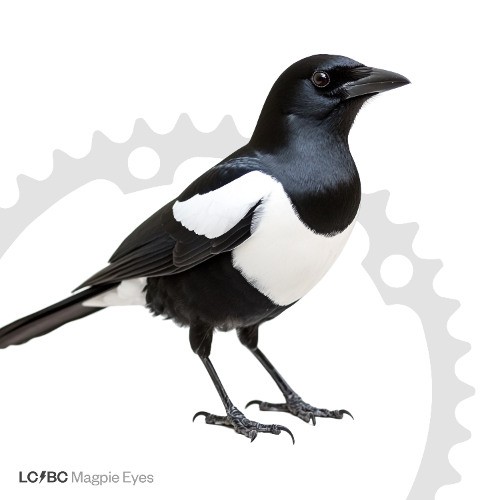Magpie Eyes