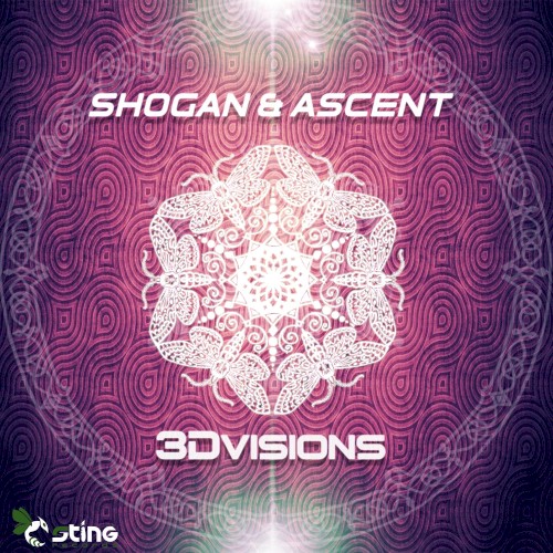 3D Visions