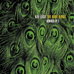 The Rare Birds Remixes, Pt. 1