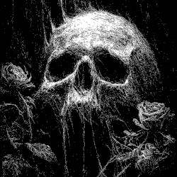 Decay