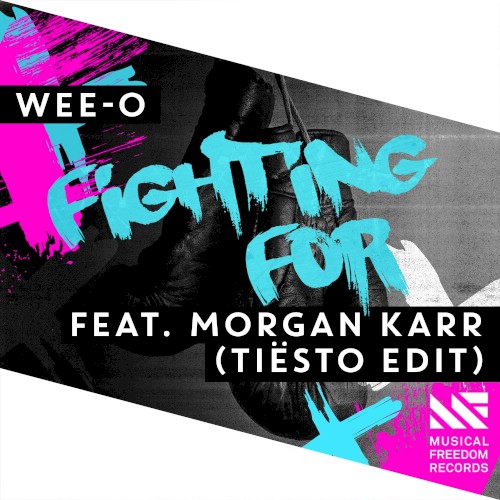 Fighting For (Tiësto edit)