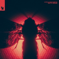 Moth Song