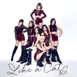 Like a Cat