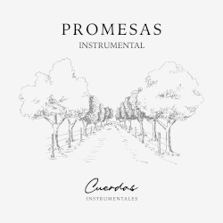 Promesas Instrumental