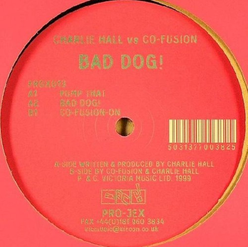Bad Dog!