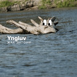 Дерево