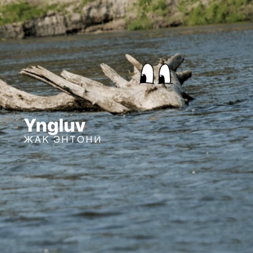 Дерево