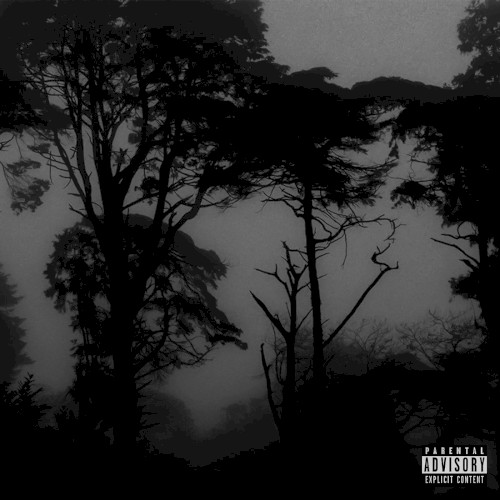 A & D (Freestyle)