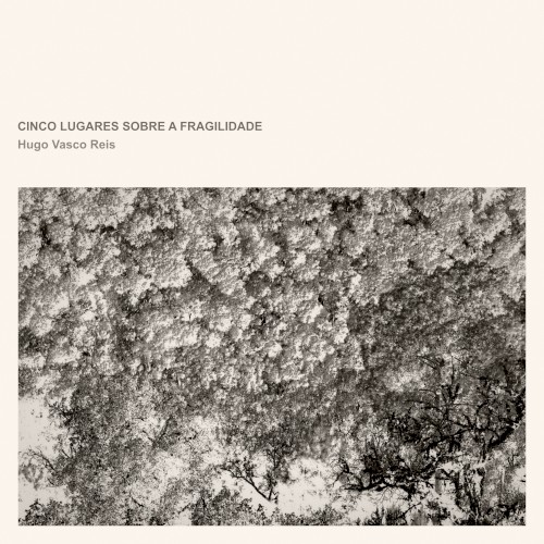 Cinco Lugares Sobre a Fragilidade