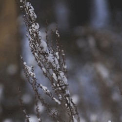 moxuvugiti