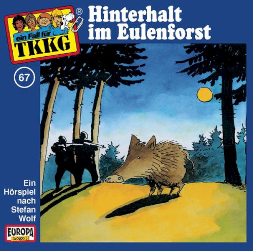 TKKG 67: Hinterhalt im Eulenforst