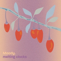 melting clocks