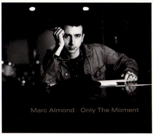 Only the Moment