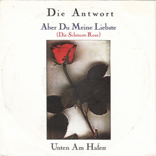 Aber du meine Liebste (Die schönste Rose) / Unten am Hafen