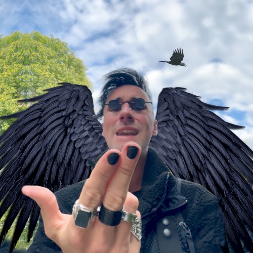 You’re Raven