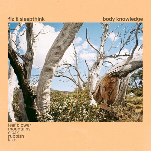Body Knowledge