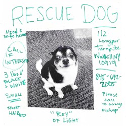 Rescue Dog