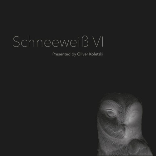 Schneeweiss VI