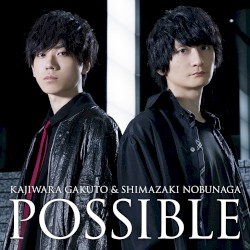 POSSIBLE
