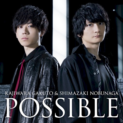 POSSIBLE