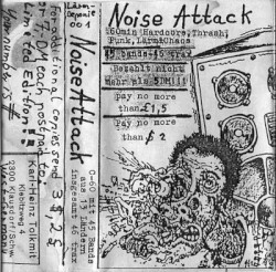 Noise Attack
