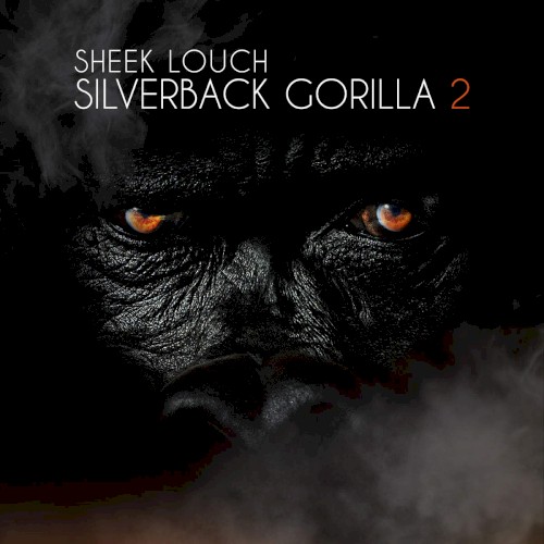 Silverback Gorilla 2