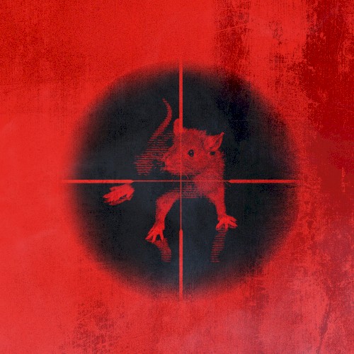 Killing the Rats