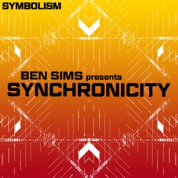 Synchronicity
