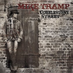 Cobblestone Street