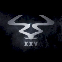 RAM 25