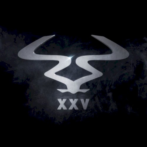 RAM 25
