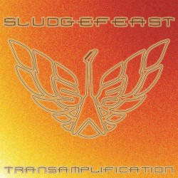 Transamplification