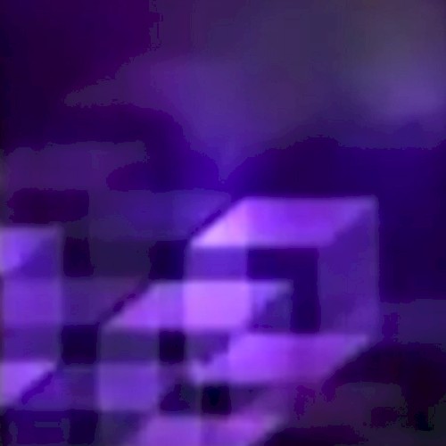 The Extended Video