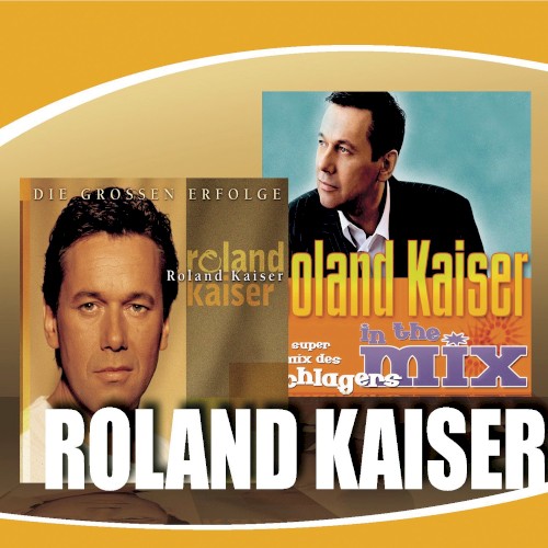 Die grossen Erfolge / In the Mix