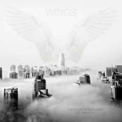 Wings