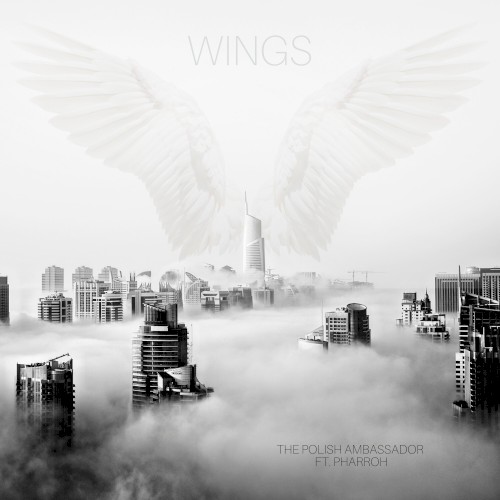 Wings