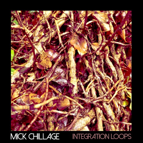 Integration Loops