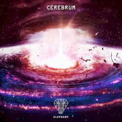 Cerebrum