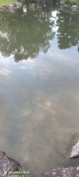 ambient kyoto #6
