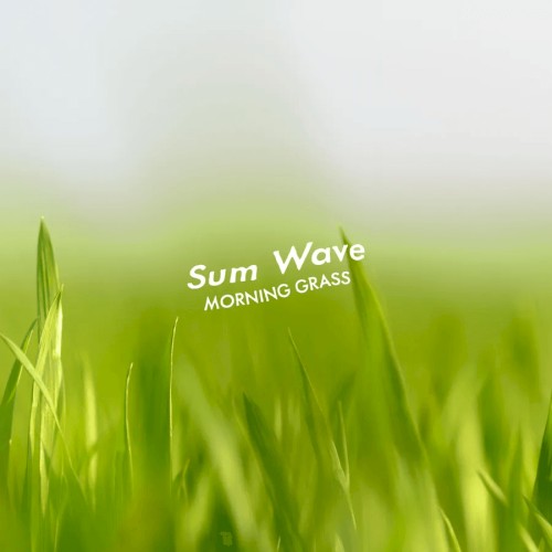 Morning Grass