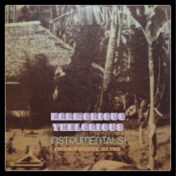 Instrumentals! (A Collection Of Outernational Music Studies)