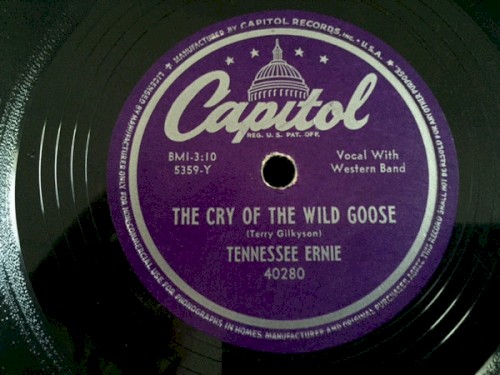 The Cry of the Wild Goose