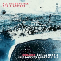 All the Beauties and Disasters