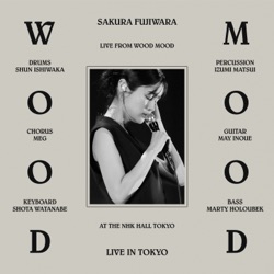 wood mood (live at NHK Hall)