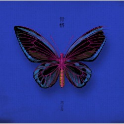骨格