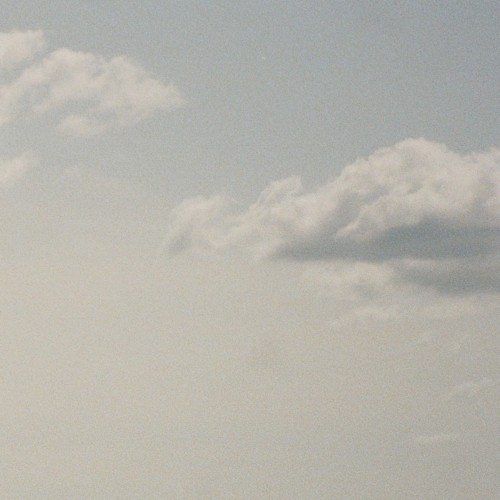 Veil