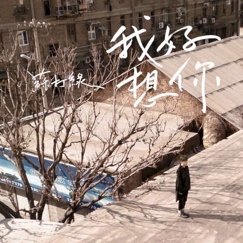 我好想你